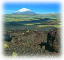 Reserva Payunia - Pampas Negras - Volcanes - Malargüe - Mendoza - Argentina