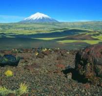 Payunia Reserve - Malargue Mendoza Argentina