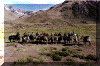 Cabalgatas en Cordillera de Los Andes
